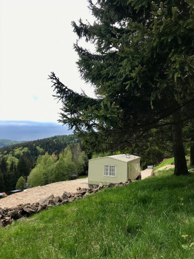Hotel Blick Lądek-Zdrój Esterno foto